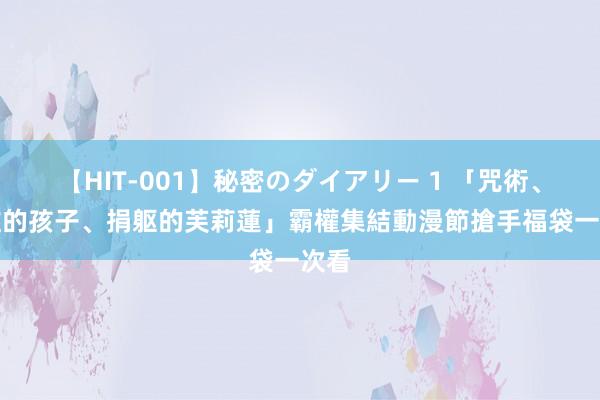 【HIT-001】秘密のダイアリー 1 「咒術、我推的孩子、捐躯的芙莉蓮」霸權集結　動漫節搶手福袋一次看