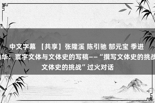 中文字幕 【共享】张隆溪 陈引驰 郜元宝 季进 张万民 王柏华：寰宇文体与文体史的写稿——“撰写文体史的挑战”过火对话