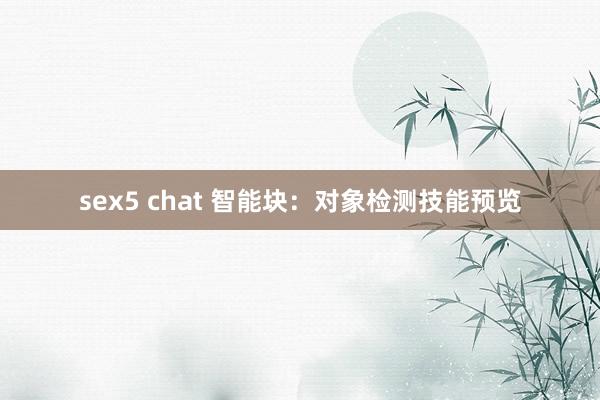 sex5 chat 智能块：对象检测技能预览