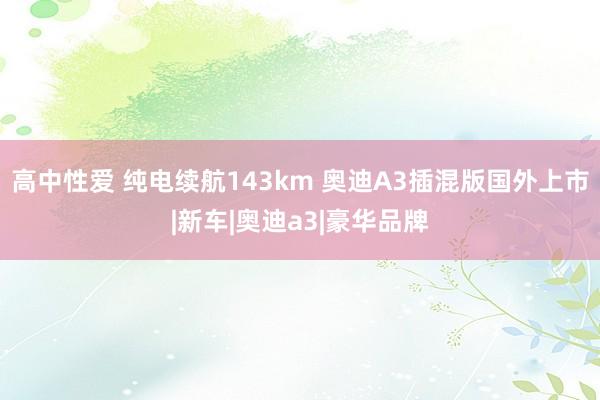 高中性爱 纯电续航143km 奥迪A3插混版国外上市|新车|奥迪a3|豪华品牌