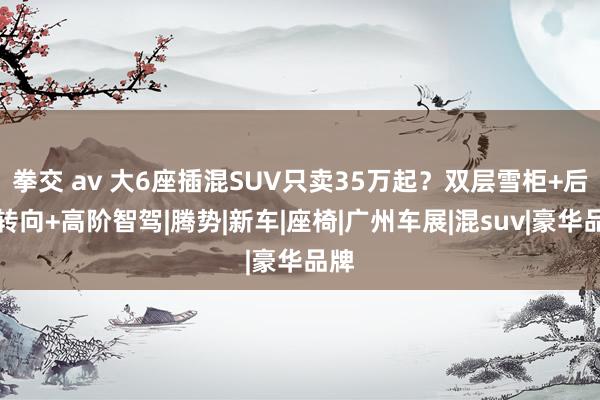 拳交 av 大6座插混SUV只卖35万起？双层雪柜+后轮转向+高阶智驾|腾势|新车|座椅|广州车展|