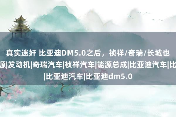 真实迷奸 比亚迪DM5.0之后，祯祥/奇瑞/长城也升级插混能源|发动机|奇瑞汽车|祯祥汽车|能源总成