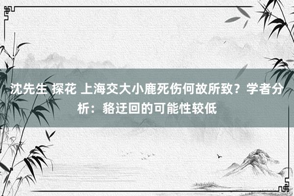 沈先生 探花 上海交大小鹿死伤何故所致？学者分析：貉迂回的可能性较低