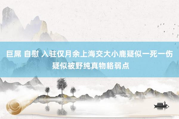 巨屌 自慰 入驻仅月余上海交大小鹿疑似一死一伤 疑似被野纯真物貉弱点